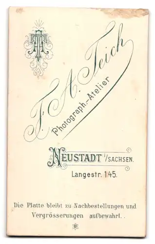 Fotografie F. A. Teich, Neustadt i. Sachsen, Langestrasse 145, Junge Dame mit zurückgebundenem Haar