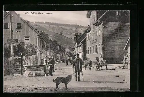 AK Wildemann i. Harz, Strassenpartie mit Holzhaus, Brunnen u. Rindern