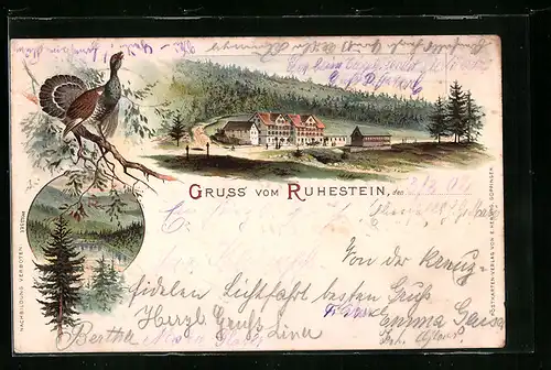 Lithographie Ruhestein, Gasthaus Ruhestein, Ortspartie, Birkhahn auf einem Ast