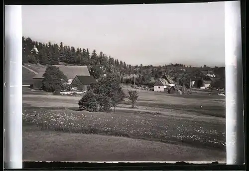 Fotografie Brück & Sohn Meissen, Ansicht Schellerhau i. Erzg., Teilansicht der Ortschaft mit Wohnhäusern