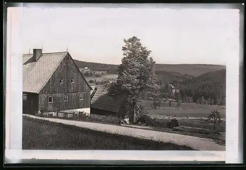 Fotografie Brück & Sohn Meissen, Ansicht Schellerhau i. Erzg., Partie im Ort mit Teilansicht eines Wohnhauses