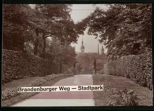 Fotografie Brück & Sohn Meissen, Ansicht Riesa / Elbe, Brandenburger Weg im Stadtpark mit Blick zur Kirche