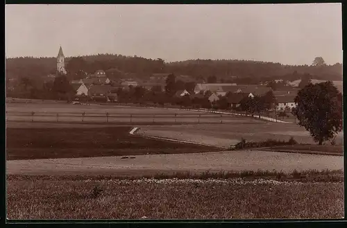 Fotografie Brück & Sohn Meissen, Ansicht Bucha i. Sa., Blick über die Felder nach dem Ort mit Kirche