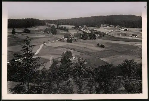 Fotografie Brück & Sohn Meissen, Ansicht Schellerhau i. Erzg., Blick vom Wald nach dem Ort mit Wohnhäusern