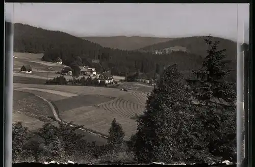 Fotografie Brück & Sohn Meissen, Ansicht Schellerhau i. Erzg., Blick nach dem Ort mit Wohnhäusern im Wald