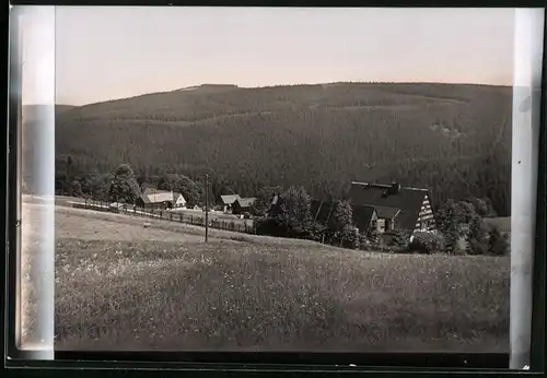 Fotografie Brück & Sohn Meissen, Ansicht Schellerhau i. Erzg., Ortsansicht mit Blick auf die Umgebung