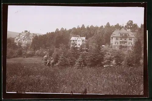 Fotografie Brück & Sohn Meissen, Ansicht Bad Elster, Partie aus dem Albertpark mit Villen