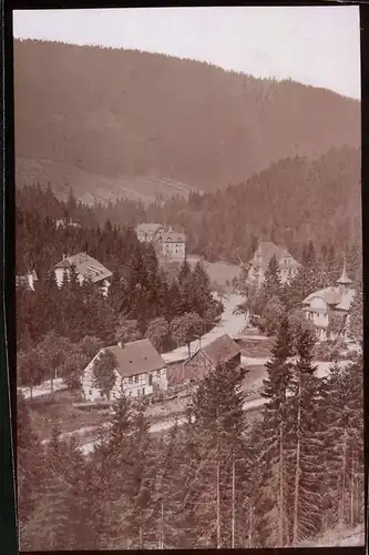 Fotografie Brück & Sohn Meissen, Ansicht Wald-Bärenburg, Blick in den Ort mit Wohnhäusern