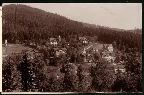 Fotografie Brück & Sohn Meissen, Ansicht Bärenfels i. Erzg., Blick auf den Ort mit Villen