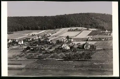 Fotografie Brück & Sohn Meissen, Ansicht Diesbar-Nieschütz, Blick über die Elbe auf den Ort mit einzelnen Wohnhäusern