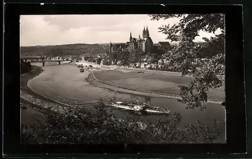 Fotografie Brück & Sohn Meissen, Ansicht Meissen i. Sa., Blick von Proschwitz auf die Stadt mit Elbedampfer