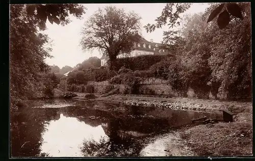Fotografie Brück & Sohn Meissen, Ansicht Dahlen i. Sa., Partie am Teich im Schlosspark
