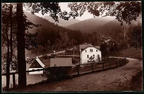 Fotografie Brück & Sohn Meissen, Ansicht Kipsdorf-Bärenfels, Partie im Ort mit Wohnhaus