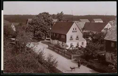 Fotografie Brück & Sohn Meissen, Ansicht Grillenburg, Partie im Ort mit Wohnhäusern, Frau mit ihrem Hund auf der Strasse