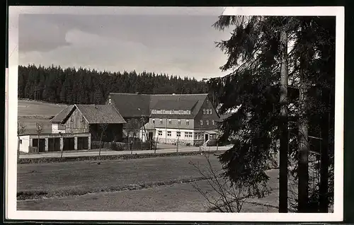 Fotografie Brück & Sohn Meissen, Ansicht Steinbach b. Johanngeorgenstadt, Blick zum Fremdenhof Waldesruhe