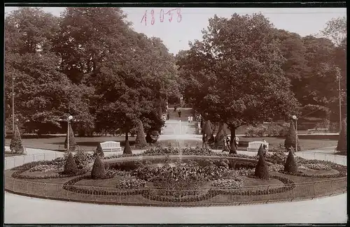 Fotografie Brück & Sohn Meissen, Ansicht Freiberg i. Sa., Partie im Albertpark an der Fontaine