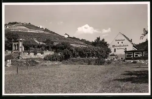 Fotografie Brück & Sohn Meissen, Ansicht Meissen i. Sa., Kapitelberg von der Dresdner Strasse mit Gasthaus Weinstuben