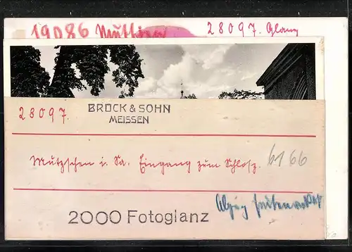 Fotografie Brück & Sohn Meissen, Ansicht Mutzschen i. Sa., Blick auf den Schlosseingang