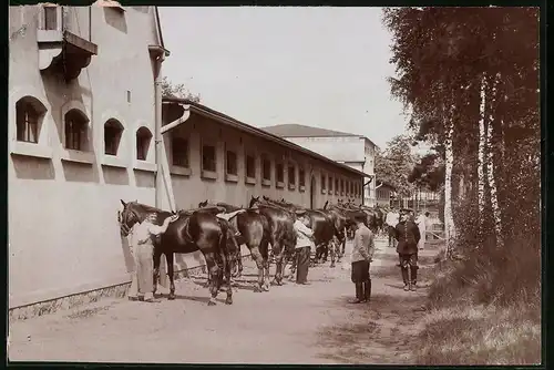 Fotografie Brück & Sohn Meissen, Ansicht Königsbrück, Soldaten beim Pferdeputzen an den Stellen des Truppenübungsplatz