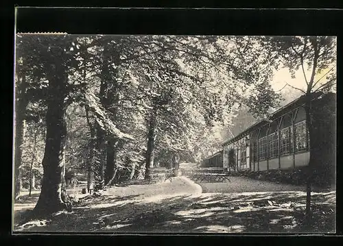 AK Einbeck, Idyllische Lage im Wald vom Gasthaus Teichen