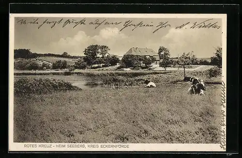 AK Seeberg b. Eckernförde, Rotes Kreuz-Heim aus der Ferne