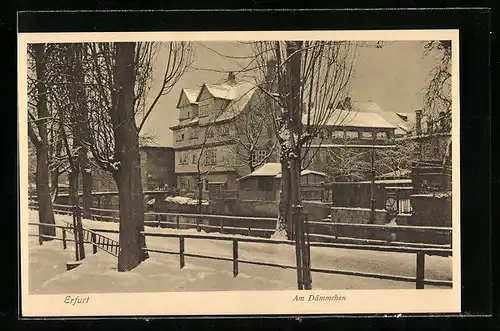 AK Erfurt, Uferpartie am Dämmchen