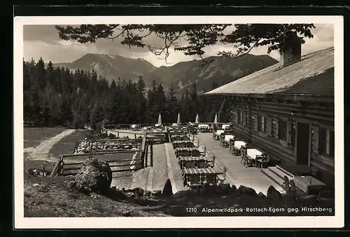 AK Rottach-Egern, Gasthaus Alpenwildpark gegen Hirschberg