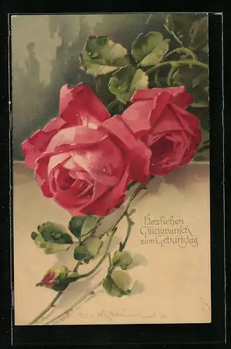 Künstler-AK Catharina Klein: Zwei Rosafarbene Rosen mit zarter Knospe