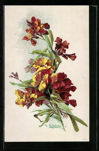Künstler-AK Catharina Klein: Wunderschöne rot-gelbe Blumen mit Blattgrün