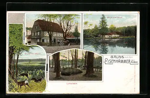 AK Eisenhammer bei Düben, Blick vom Teich, Studenten Wiese, Lutherstein