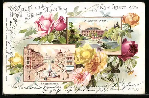 Lithographie Frankfurt a. M., Zoologischer Garten und Kaiserstrasse