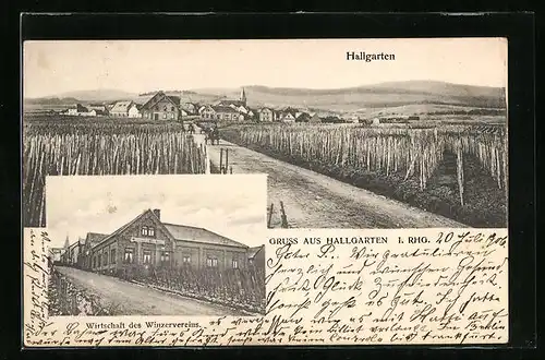 AK Hallgarten i. Rhg., Gasthaus des Winzervereins, Totalansicht aus der Ferne