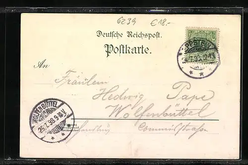 Lithographie Eppstein i. T., Hotel Kaiser-Tempel, Totalansicht aus der Vogelschau