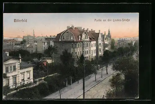 AK Bitterfeld, Partie an der Lindenstrasse mit Bäumen