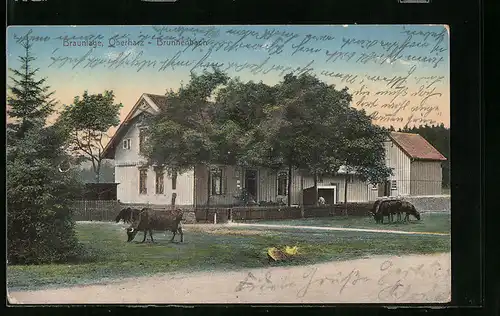 AK Braunlage /Oberharz, Gasthaus Brunnenbach mit weidenden Rindern