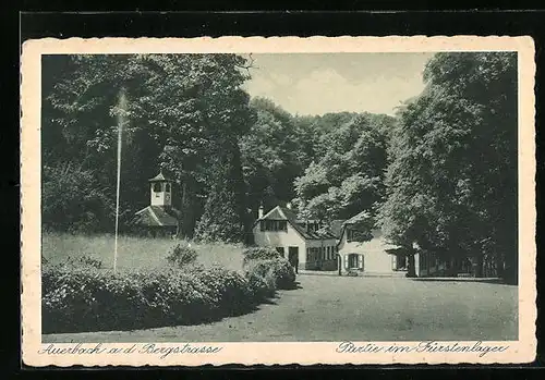 AK Auerbach a. d. Bergstrasse, Partie im Fürstenlager