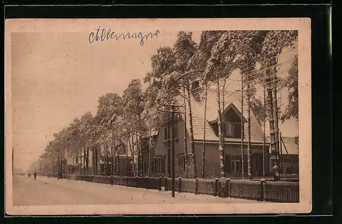 AK Zschornewitz, Kolonie, Winter in der Hauptstrasse mit Passanten