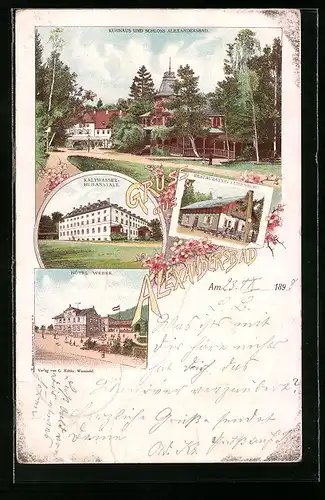 Lithographie Alexandersbad, Hotel Weber, Restaurant Luisenburg, Kurhaus und Schloss