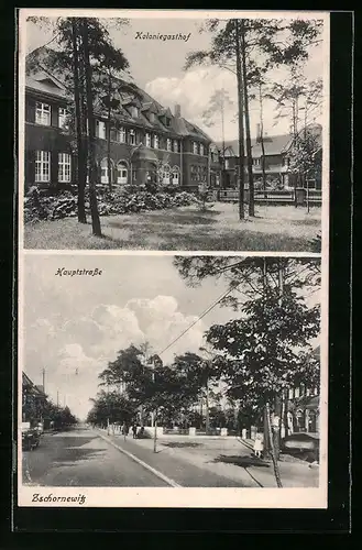 AK Zschornewitz, Koloniegasthof, Hauptstrasse