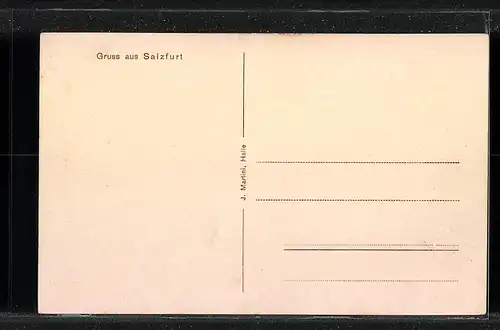 AK Salzfurt b. Raguhn, Gasthof von F. Troitzsch, Domäne und Denkmal