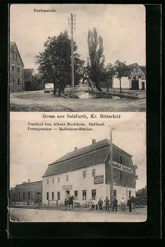 AK Salzfurth b. Bitterfeld, Gasthof von Albert Buchholz mit Radfahrer-Station, Dorfansicht
