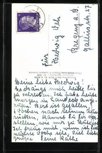 AK Brand, Totalansicht gegen Scesaplana