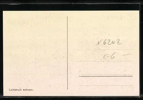 AK Bad Liebenstein, Ortsansicht aus der Vogelschau