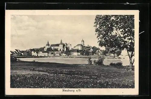 AK Neuburg a. D., Ortsansicht vom Feld aus