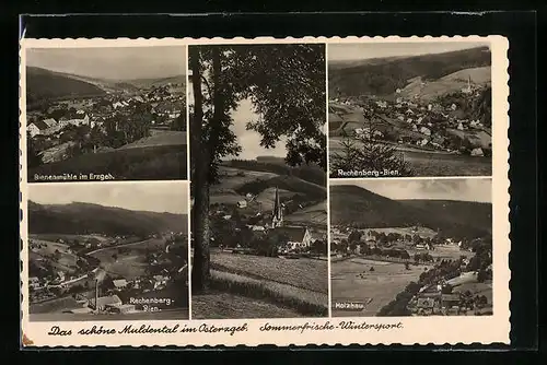 AK Rechenberg-Bienenmühle /Erzgebirge, Fünf Ansichten der Orte im schönen Muldental