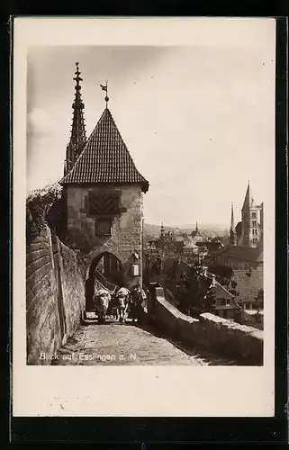 AK Esslingen a. N., Ochsenfuhrwerk mit Ortsblick