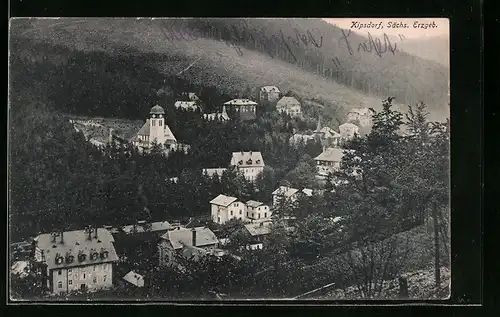 AK Kipsdorf / Sächs. Erzgeb., Totale vom Berg aus gesehen