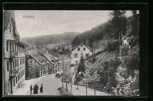 AK Triberg, Teilansicht mit Anwohnern