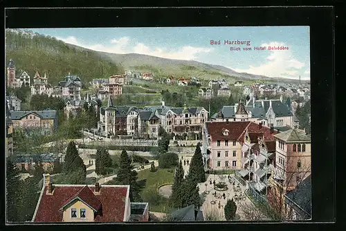 AK Bad Harzburg, Blick vom Hotel Belvédère