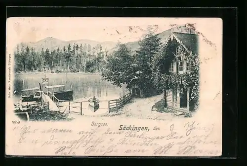 AK Säckingen, Idylle am Bergsee